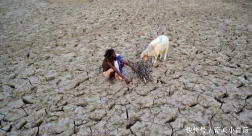 穷人|印度高温50度,猴子都难以忍耐,看看当地穷人和富人都是如何避署?