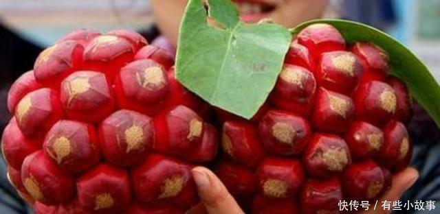 榴莲|公认“最难吃”的4种水果,榴莲都不算啥,全吃过的敬你是条汉子!