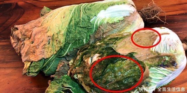 留意|爱吃白菜的人要留意了,我也是今天才刚知道,抓紧告诉身边人