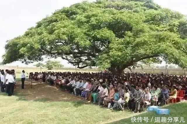 无所不能|那些人类遗忘的角落,大自然无所不能