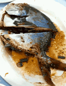  GIF|搞笑GIF：你们说这车有多猛啊。