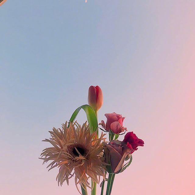 看完|乐观积极向上的唯美句子,看完让人醍醐灌顶!