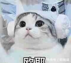  道菜完成|6款微波炉就能做的营养大餐！上手简单十几分钟就搞定！懒人必备