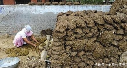 农村|印度农村最受欢迎的牛粪饼,一天不吃就浑身不舒服,你敢吃吗?