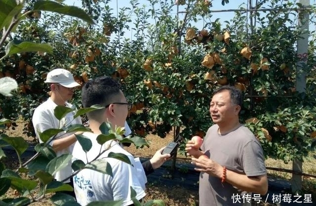 样板片区|乡村振兴看威海主题活动启动，首站走进埠柳