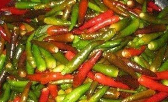 脆爽|86岁奶奶腌的“神仙辣椒”，随腌随吃，酸辣脆爽，一盆不够吃三天