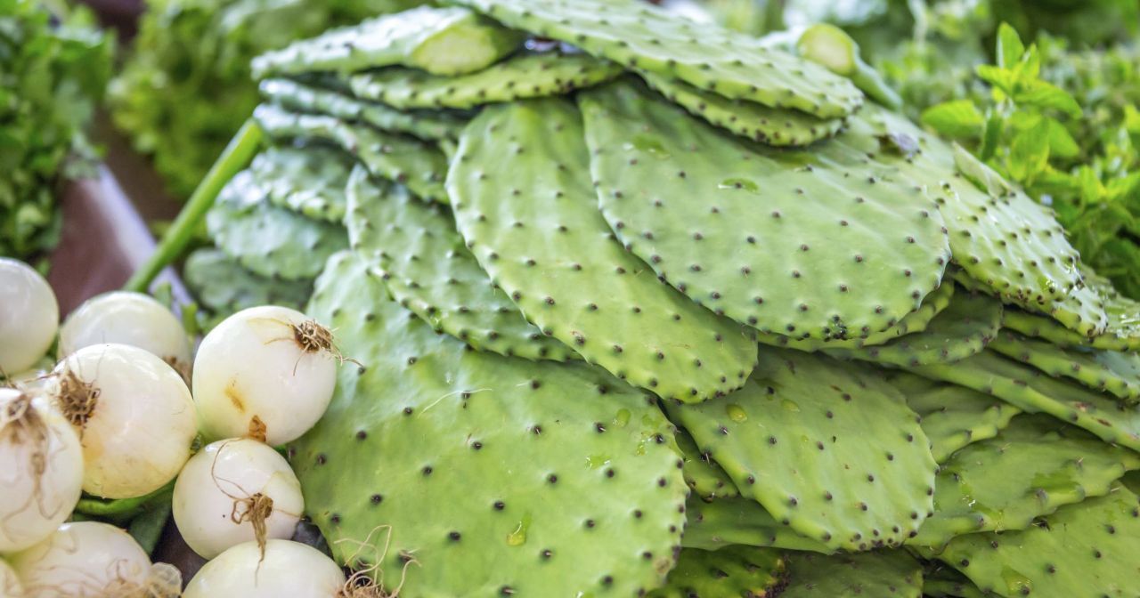 墨西哥|火龙果(仙人掌果),墨西哥不可或缺的文化图腾与经济作物!