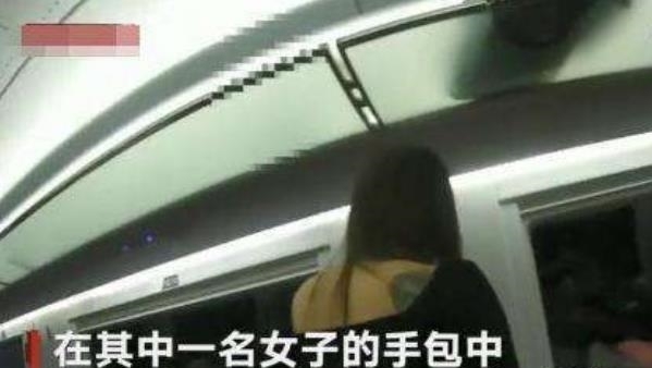 女孩|3名女孩高铁厕所内做这事, 被抓后称自己是好女孩? 乘警的话让女子羞愧