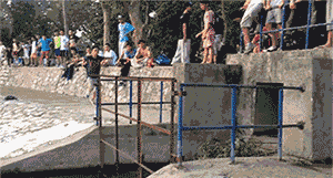 搞笑|搞笑GIF:小弟弟你这么小就会撩妹啊