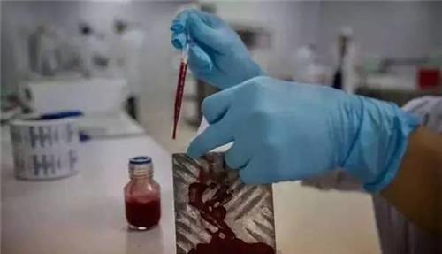 工厂|世界上最大的蚊子工厂,每周培育500万只蚊子并放生,就在广东省