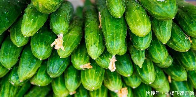 下饭|秋天,遇到此菜别错过,2块钱一斤,营养美味,炒肉吃很下饭