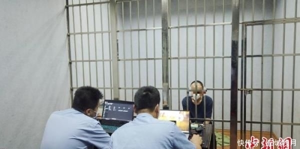 固体废物|桂湘海关联手破获固体废物走私大案