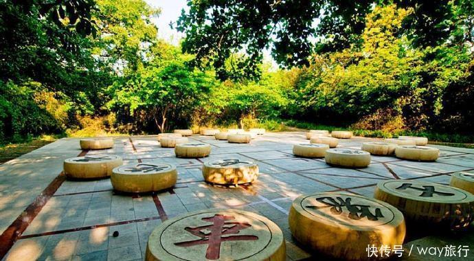 森林|高温席卷的初夏,不如去这些堪比童话仙境的小众森林里乘个凉!