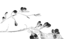 法院|法院干警的小时候与长大后