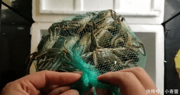 男子|男子上拼多多买“1元蟹”,一次买了99元,开箱后:真没发错货?