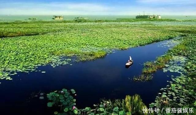 高邮咸鸭|中国哪里的咸鸭蛋好吃?这3个地方评价高!酥沙流油,好吃下饭