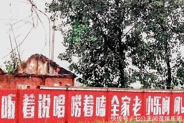 综艺|离开《极限挑战》两年之后,严敏交上综艺答卷,超8成网友推荐