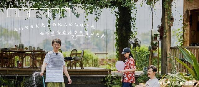 回来|《向往的生活》迎本季最佳,观众熟悉的向往感回来了