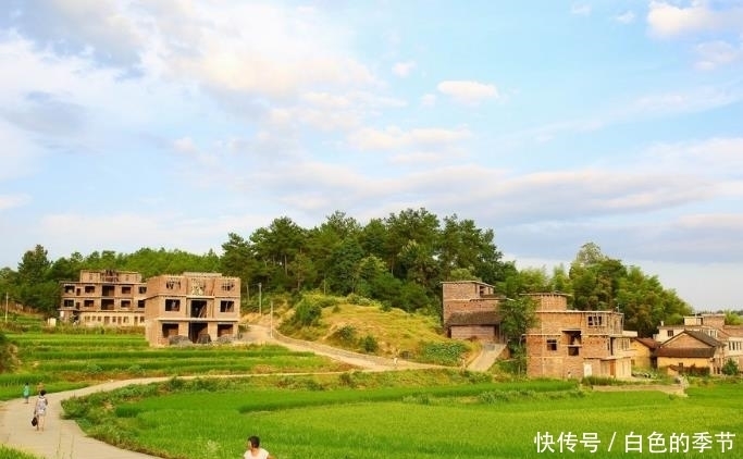 图片来源于|农村老伯训练猪当车夫年入十万,直言:一本万利,给吃饱了就行