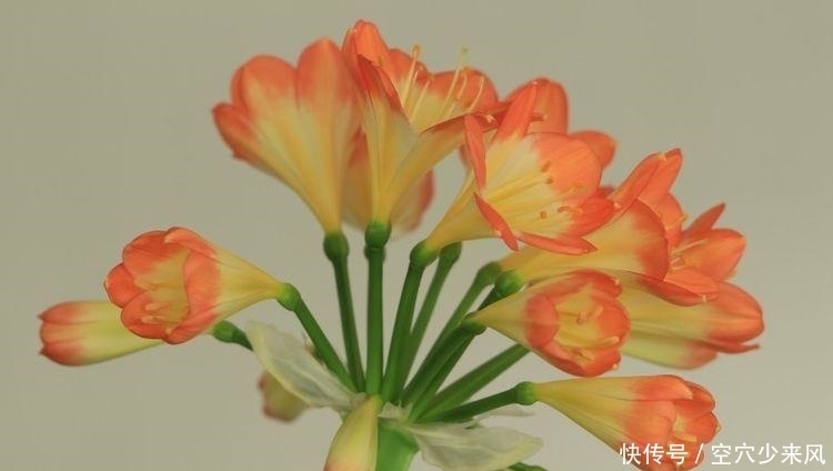 让生肖蛇|九月中旬,财运来袭,好运紧随,生活烦恼解除的四大生肖