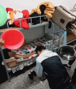 GIF|搞笑GIF趣图:大哥,挡住玻璃开车,就不怕扣分吗?