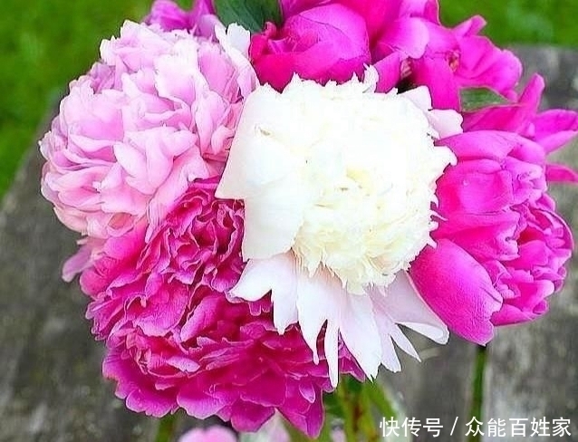 福气的人|福祸是有征兆的,对照一下,你是有福之人吗?