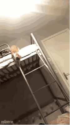 搞笑|搞笑GIF:现在都流行划船送餐,没两把刷子你都不敢上船