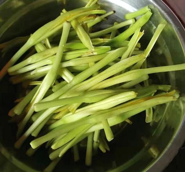 助于|女性30不想成“黄脸婆”,此菜要多吃,皮肤像冻龄,细腻又水灵