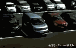 GIF|搞笑GIF:你以为你爸想找我这样的吗?他也是结了婚才知道我是这样的呀!