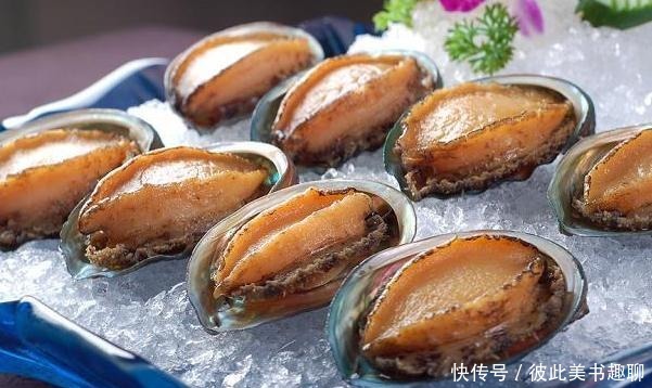 拒绝|新西兰为何态度大变?被多国拒绝后幡然醒悟,只有中国能帮我们