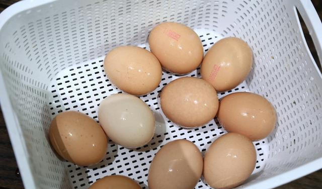 美味|想吃茶叶蛋不用出去买,教你在家做,简单美味无添加,比买的还香