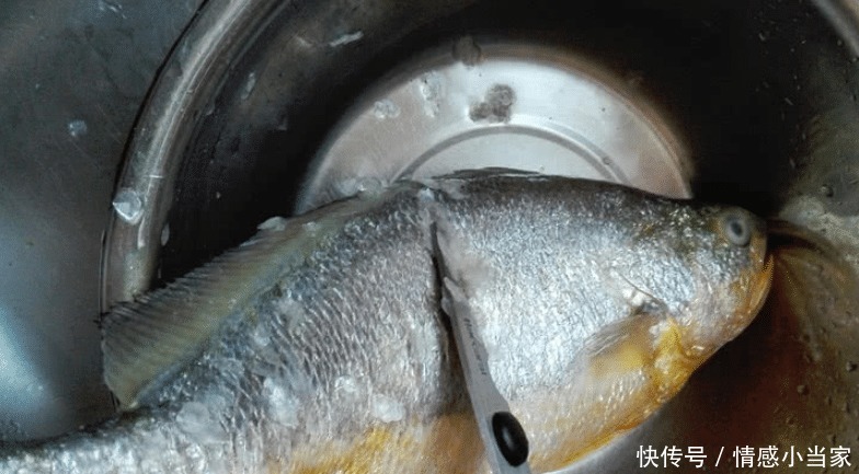 鱼肉|它是“鱼腥克星”,无论做啥鱼,只需加一勺,鲜嫩美味,没腥味