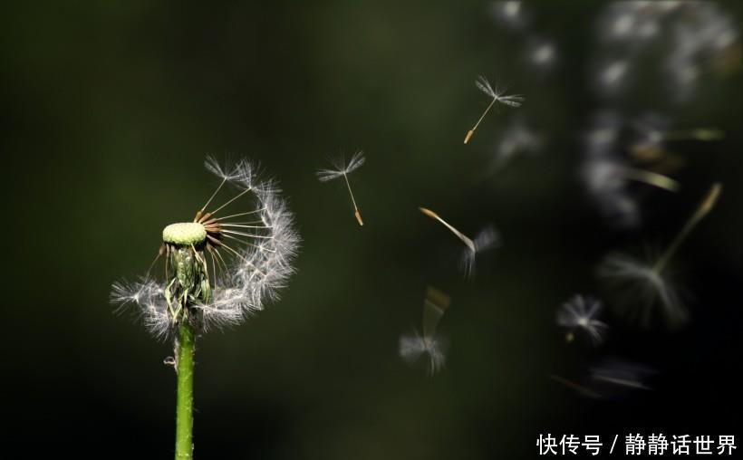 运势|7号8号9号运势一飞冲天，财富说爆发就爆发，大富特富的三生肖