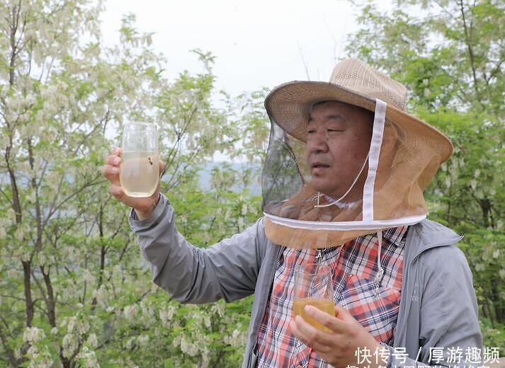 功效|肉放蜂蜜有啥用蜂蜜煮肉的功效与禁忌