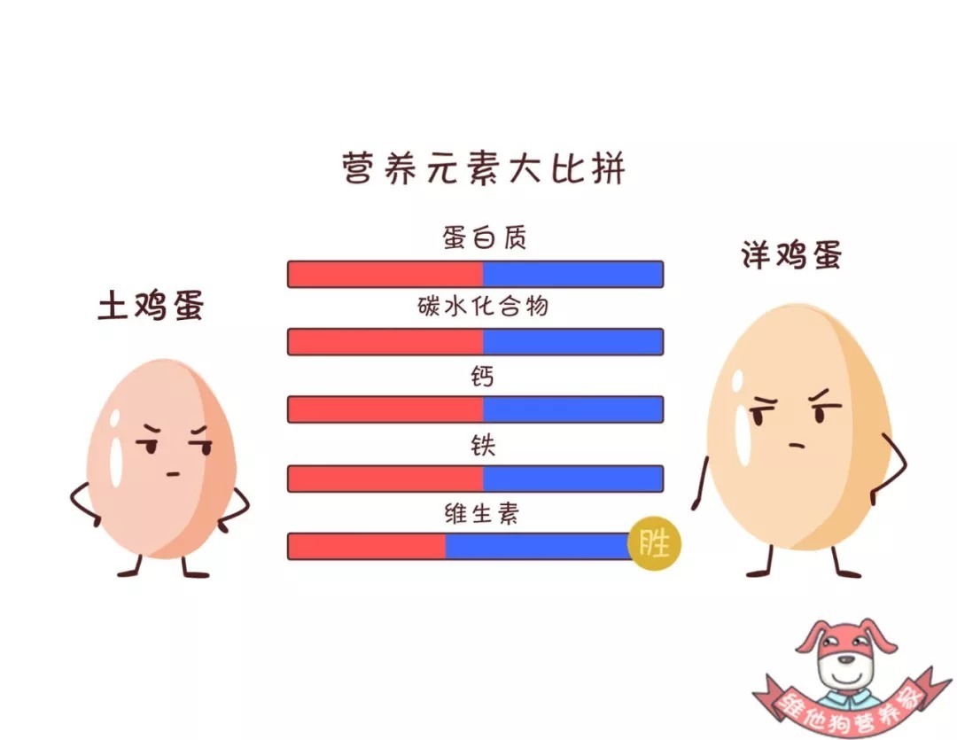 营养|土鸡蛋真的比洋鸡蛋好吗?鸡蛋怎么吃更有营养?