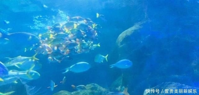 看过|看过太多的海,仍为这座“北方明珠”着迷