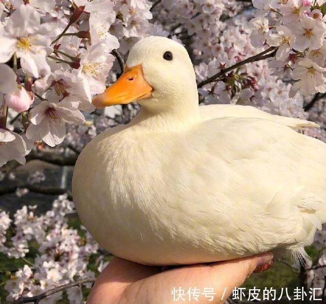  人生|启迪人生的经典说说，精辟有内涵，值得分享！