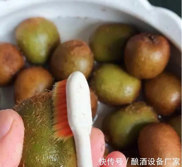 白糖|家庭烧酒设备-猕猴桃酒酿造方法