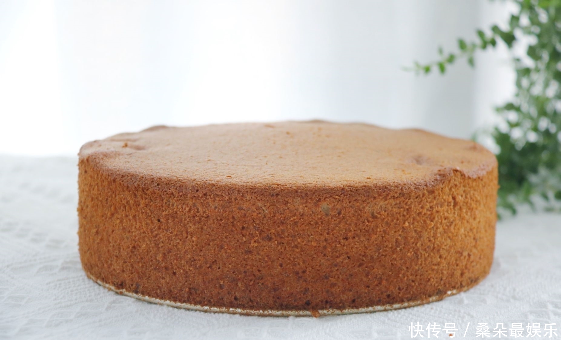 枣香|红枣别只会煮饭了,用来做蛋糕枣香浓郁,口感松软越吃越香