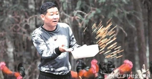 捧场|娱乐圈唯一养鸡的男明星,半个娱乐圈都要去捧场,后来成这样