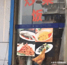 盾牌|搞笑GIF趣图：兄弟，你不如买个盾牌得了，吓成这样