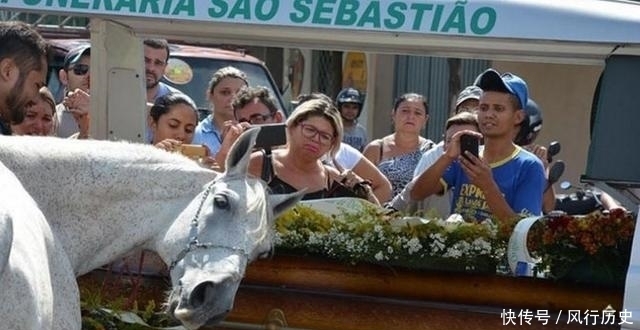 送行|主人离世,老马狂奔数公里送行,趴在棺木上不肯离去,让人落泪