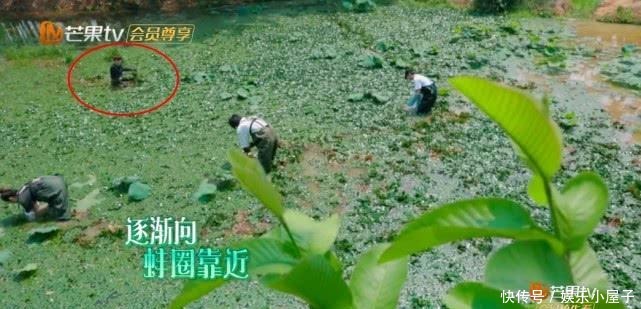 播片|《向往的生活》未播片段长达一小时,宋威龙摸河蚌,汪苏泷又偷懒