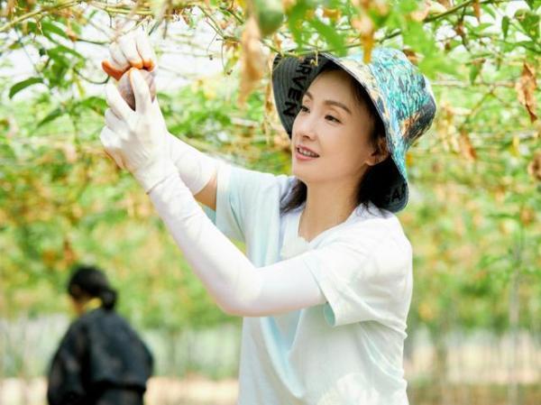  生活|《向往的生活》彭彭上树摘椰子，沙溢穿傣服，郭麒麟有那味了