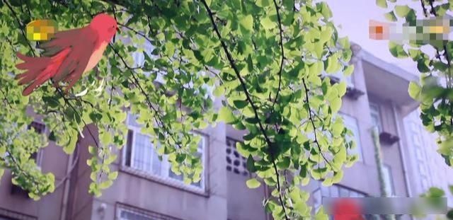 湖南|何炅汪涵的家对比才知单身非单身生活差距,同属湖南广电家属小区