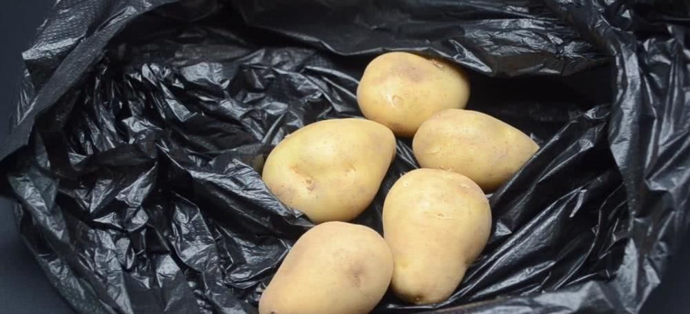 黑色塑料袋|今天才知道,原来保存土豆这么简单,放半年不发芽不干瘪,真实用
