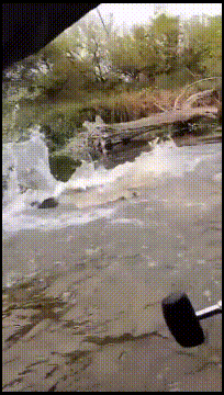  GIF|搞笑GIF：不行，太滑了！咱们别这样玩了！