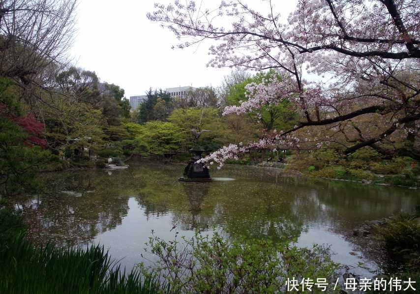 小雅|父母要彩礼女儿坚持不要，结婚该要彩礼吗？3个女人给出答案