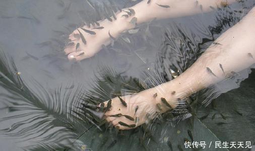 酥麻|鱼疗太酥麻！女子遭小鱼轻咬嗨了，“一举动”毒死全池鱼