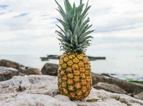 菠萝蛋白酶|让人倒下的不是病,是无知!菠萝的两大“禁忌”,别不当回事